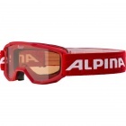 Goggle ALPINA PINEY