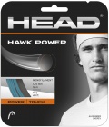 Tennissaite Hawk Power