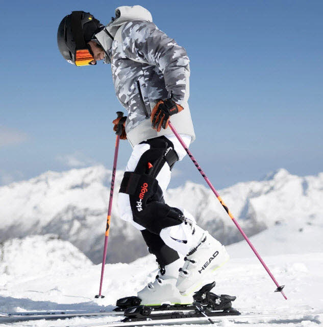 Ski Mojo